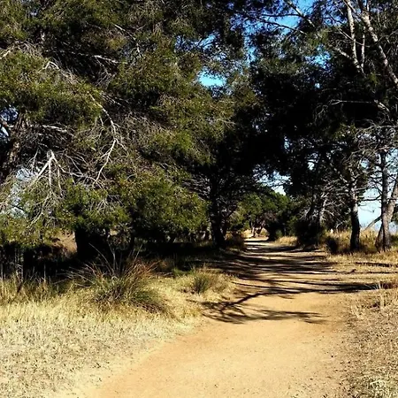 A 50 M De La Et Du Sentier Littoral Apartment Hyeres