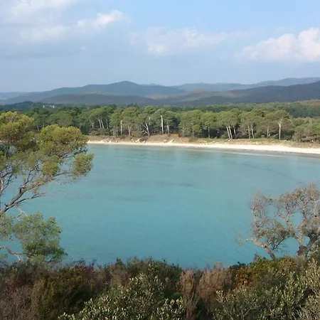 Apartment A 50 M De La Et Du Sentier Littoral Hyeres
