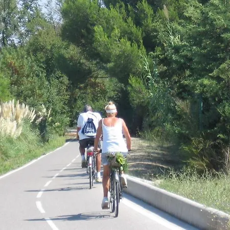A 50 M De La Et Du Sentier Littoral Appartamento *